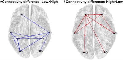 Bottom-up vs. top-down connectivity imbalance in individuals with high-autistic traits: An electroencephalographic study